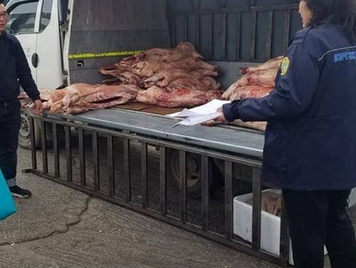 Хүчит шонхор худалдааны төвийн үйл ажиллагаанд шалгалт хийв